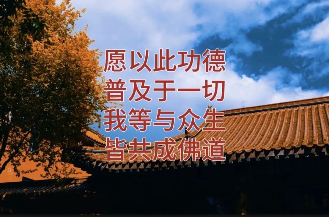 211044e148u44cu2jz0mnu.jpeg