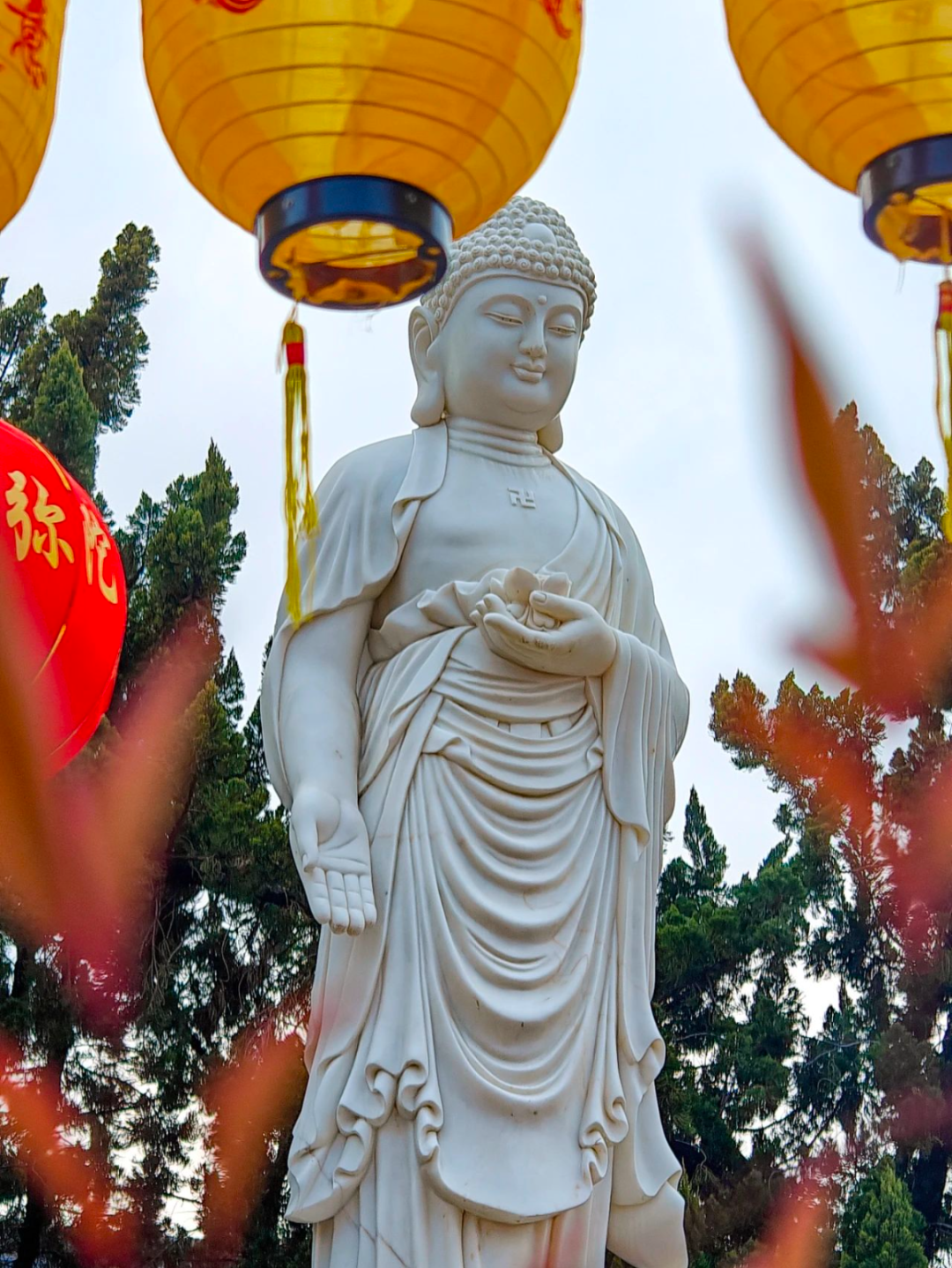 205702yruum37wygyqywbu.png