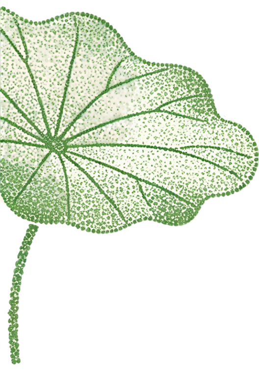 213957yc71wz0frvb71177.png