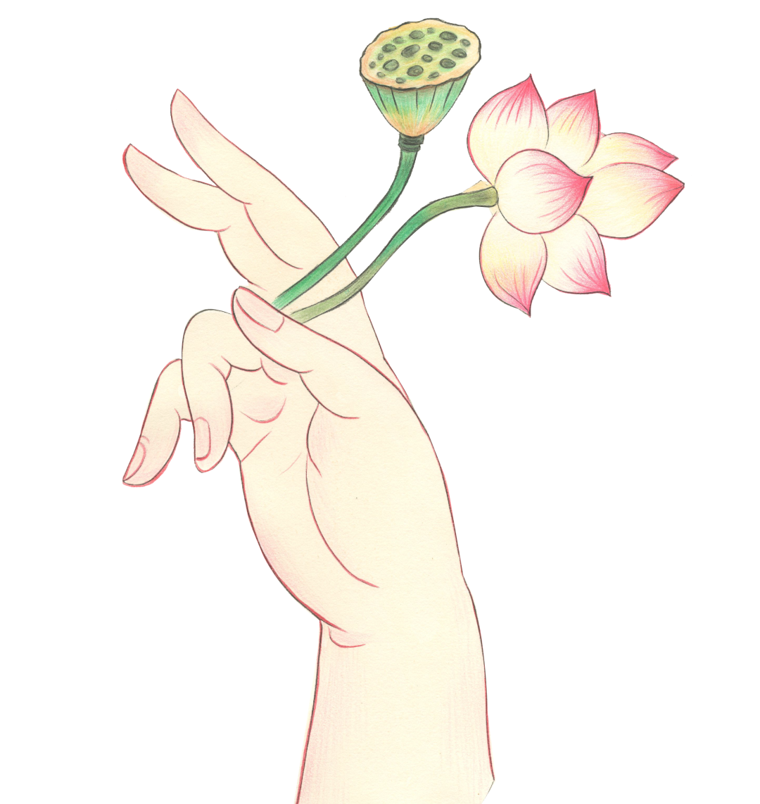214842s15ucanwr26y5y22.png