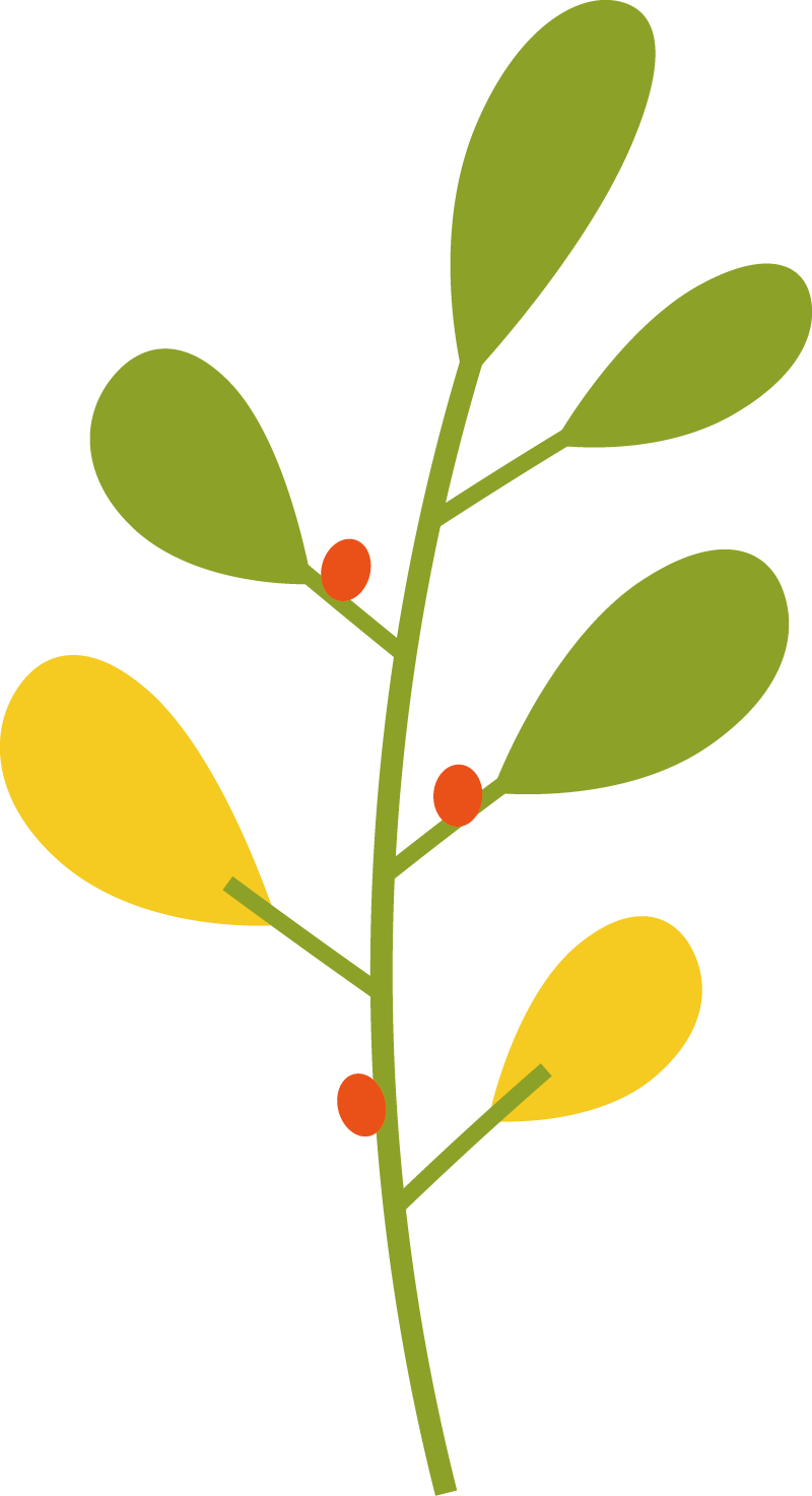 212510xr81aapmg7465r71.png