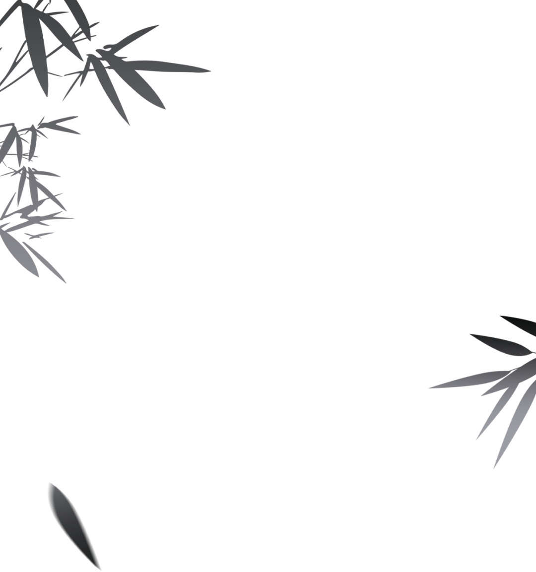 212947an4wx4nietnzviei.png
