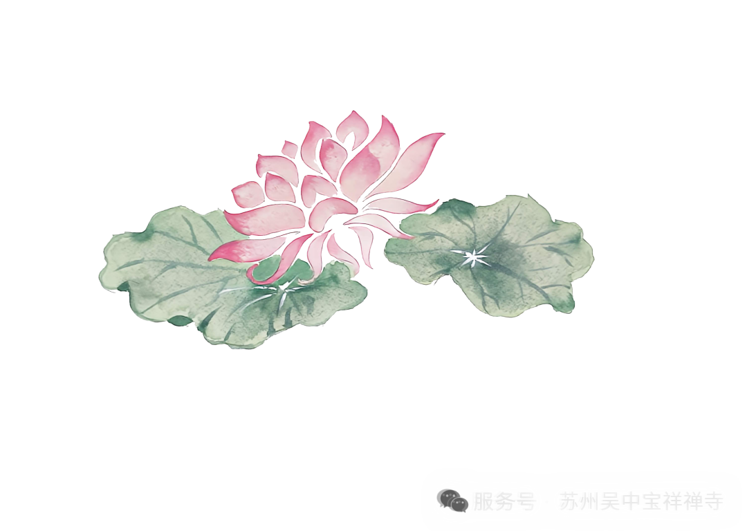 220322kctw5ib955982s7d.png