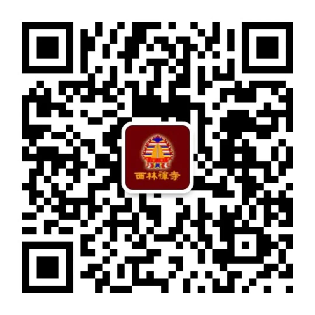 220246qr4ulwqfylqroywz.jpeg