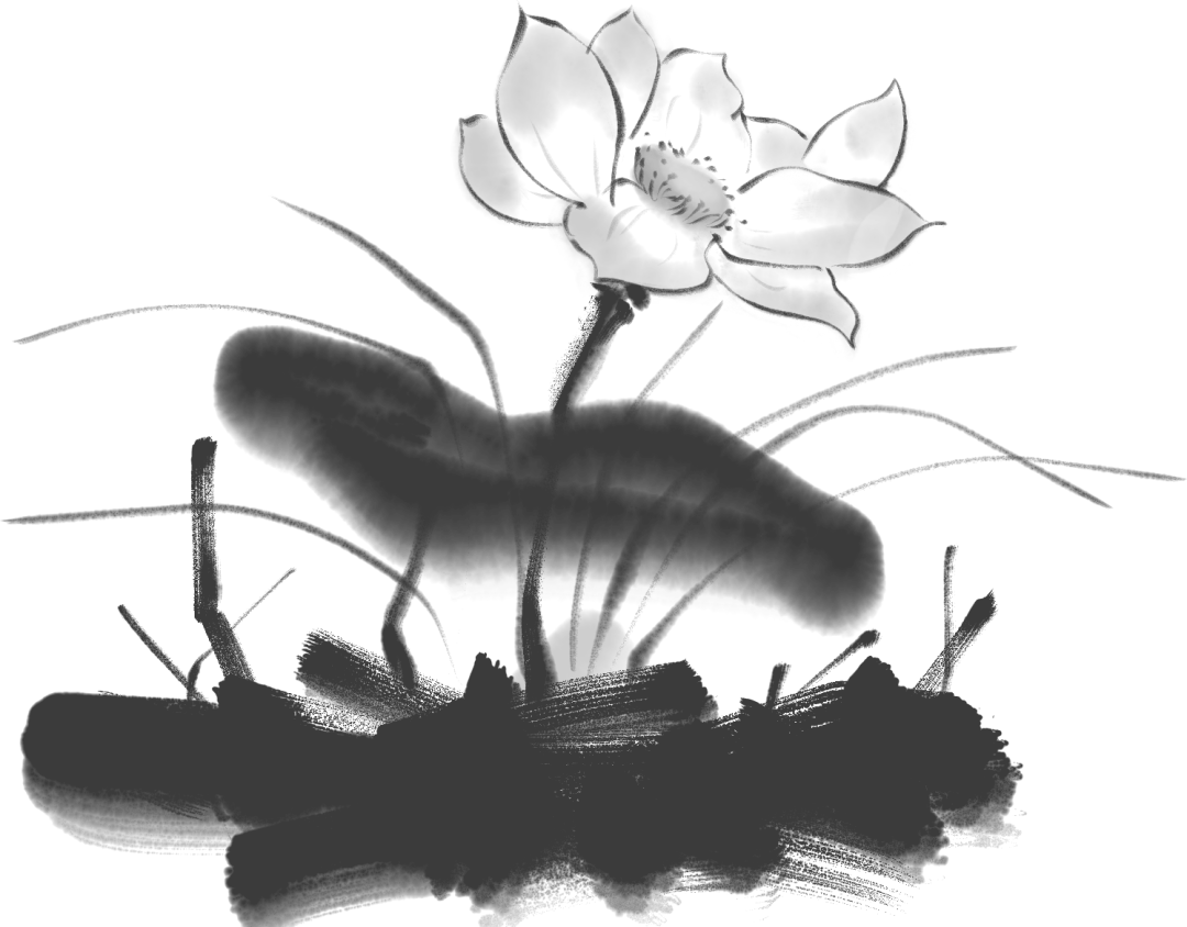 212723b3199de3fe9ia6di.png