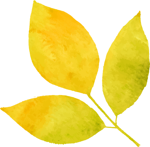 214651as7lt3fd1xd6tipg.png