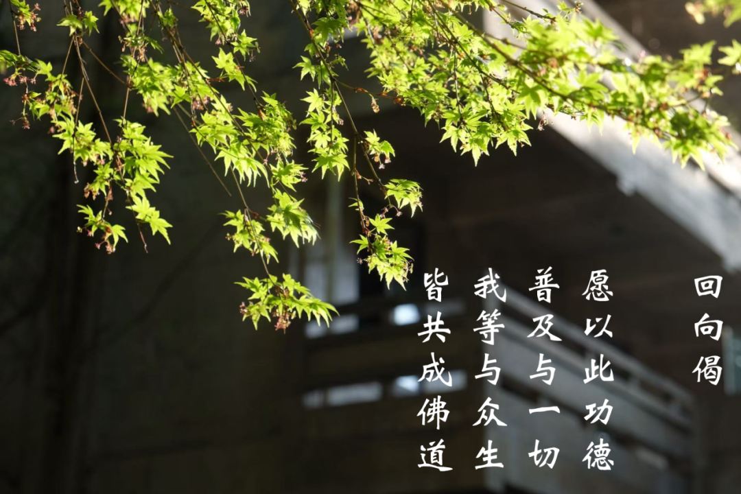 215425g9a8h4swjpl88ttz.png