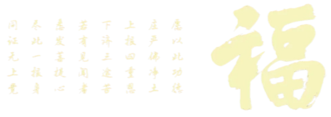 210234x2gbgk2knp5pkzcy.png