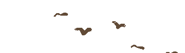 214043s7y57332y952ircg.gif