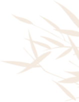 214044qf6d5d8cdjik4rdf.png