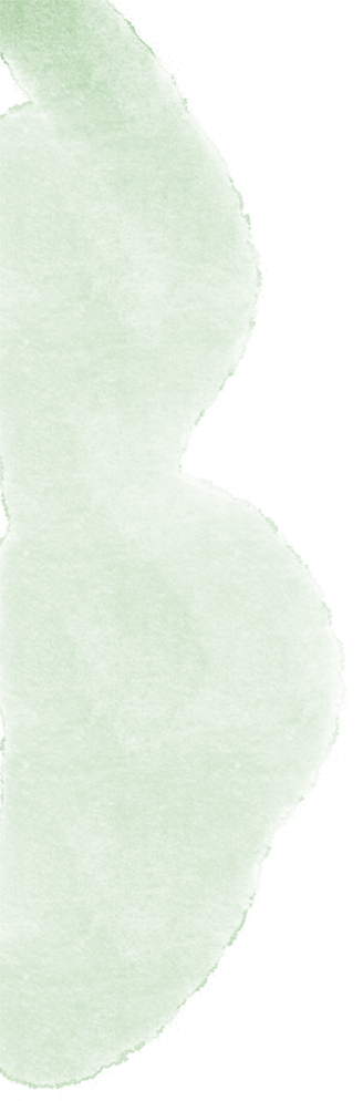 213856kz55sa17x19wv16a.png