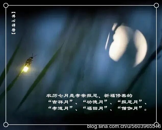 203033p4140w1v4cc4x109.jpeg