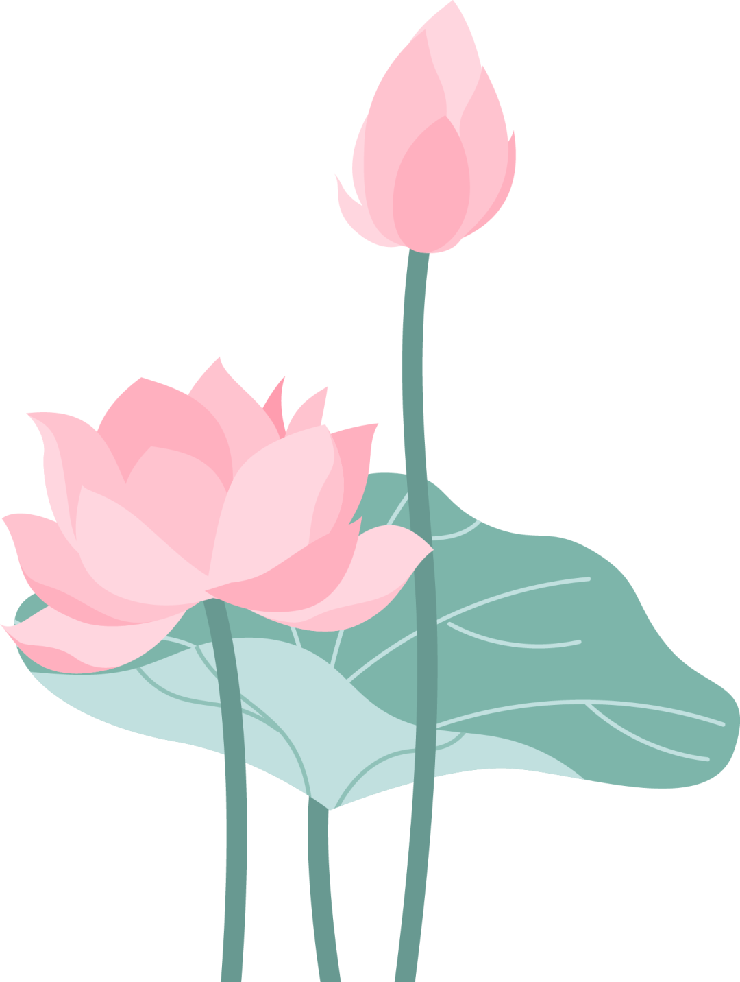 214937pc8iigxgjc72i7zw.png