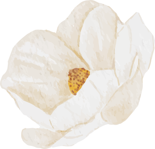 214839e952rgwcnajmpej9.png