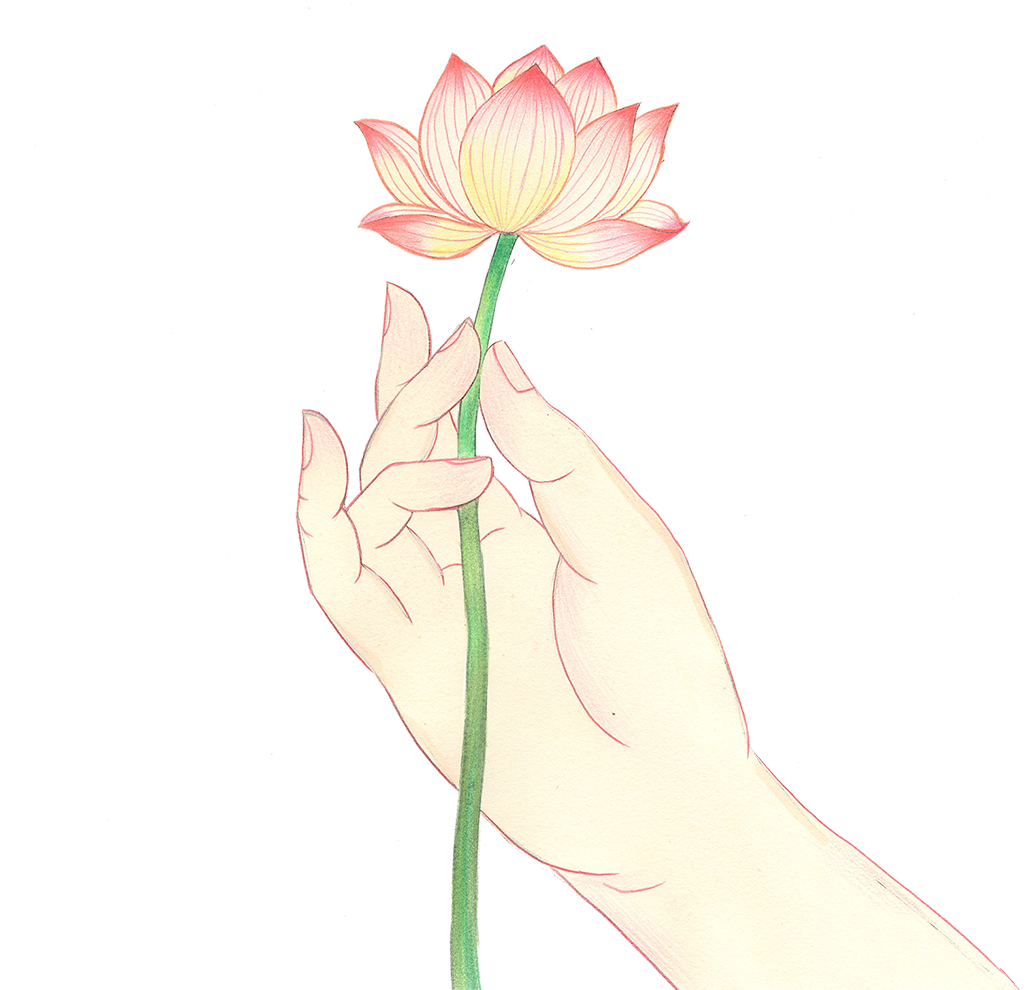 215451ftimozhpxws2bhi2.png