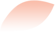 213352bgc378b8ugt4osjo.png