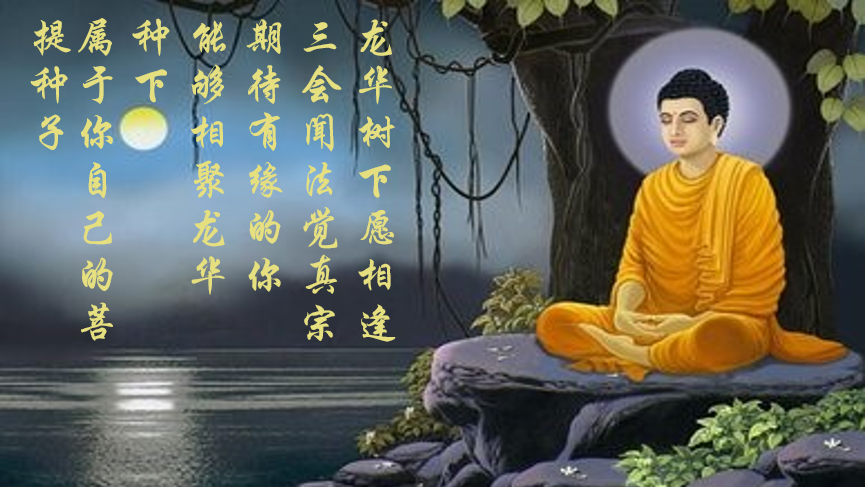 212023xy2ltv7jvyb2l22o.png