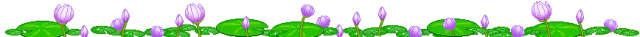 212425bulpz6pelbw6lzf0.png