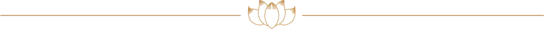 212425lcs8n13848911n88.png