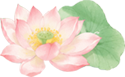 214141wkgccc19uxgu9hm1.png
