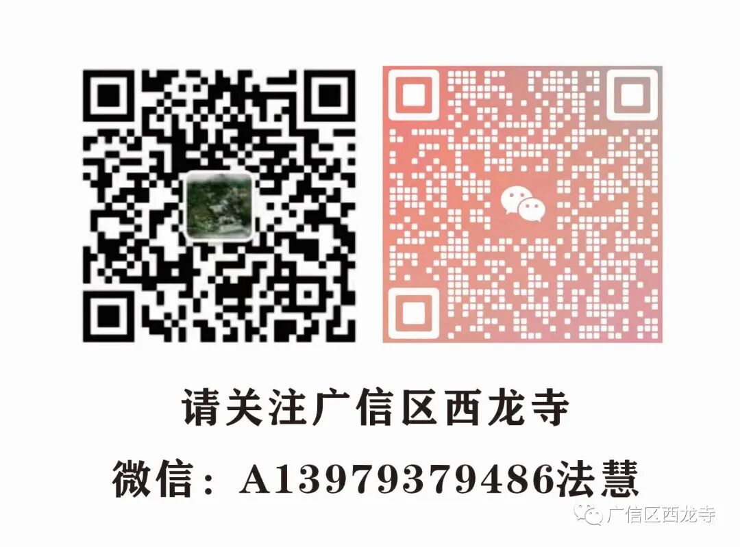 205510swg7guhek1199rjt.jpeg