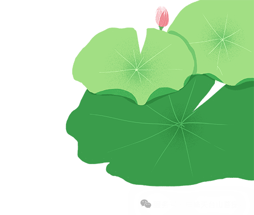210523g101w6wstt7w1et1.png