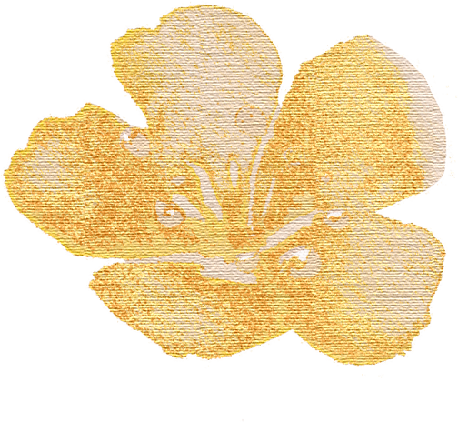 223143id948dzb8lbl7dt8.png