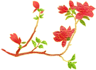 223143o48egee299r9be9n.png
