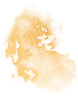 223144gf6tz3e7gfe530wy.png
