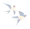 223144y98c886f6ncj47tt.gif