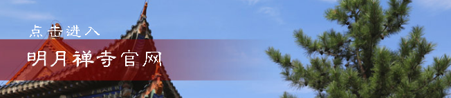 224409hv29ai7941a8s7dp.png