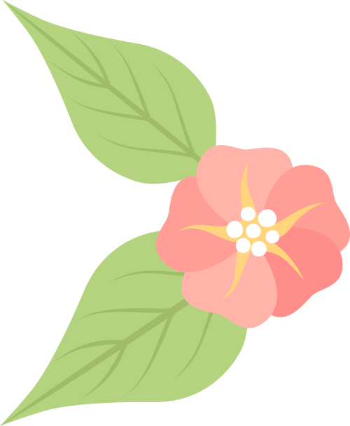 211101ouwewz2pl4zpz524.png