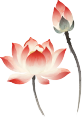 220052mztutl2lrlrl1n2l.png