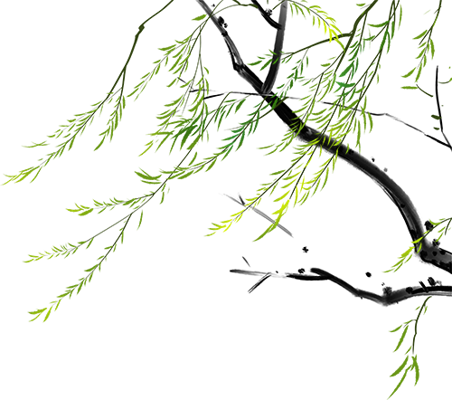 220738cocpqd6lb6a16b67.png