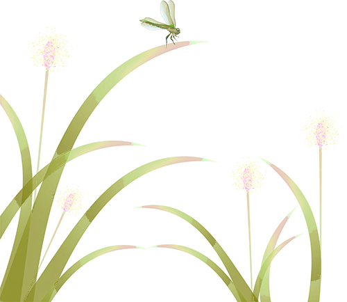 220444xu7xiimd9xu9uiif.png