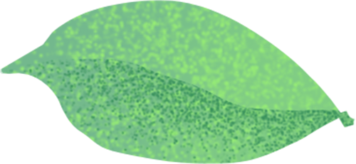 214311cdp59dicpdobi5x5.png