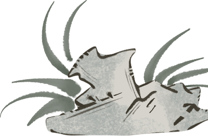 211237d4uev74dd6dp6pb0.png