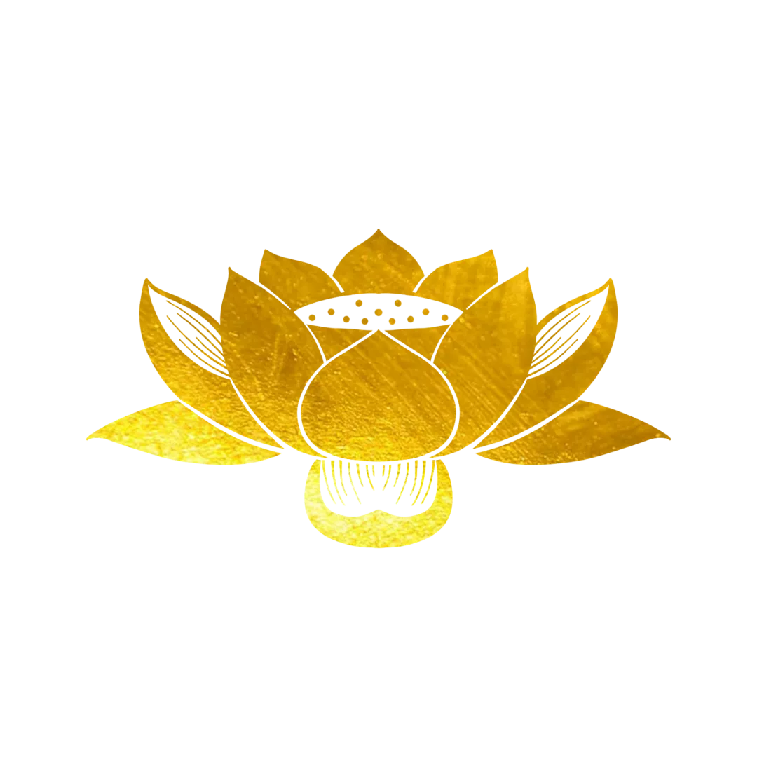 211532vgrg3tmtr366u6rz.png